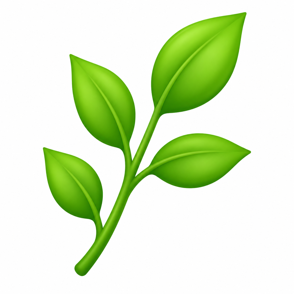 Green plant stem with three glossy leaves against a white background, illustrating growth or nature.